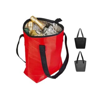 Bolso Cooler Moya