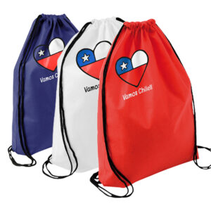 Morral Vamos Chile
