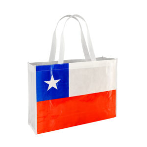 Bolsa Patriota Grande