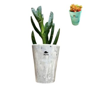Macetero Ecológico Pequeño