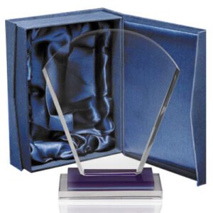 Galvano Cristal Insignia 21 × 17 cm